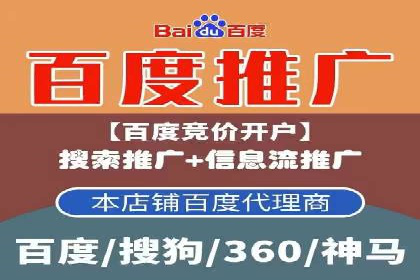 搜索引擎营销（SEM）公司某某的客户成功故事